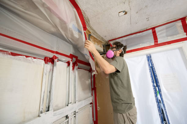 Best Post-Remediation Verification Testing  in Port Royal, SC