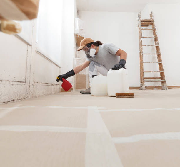 Mold Removal for HVAC Installations in Port Royal, SC